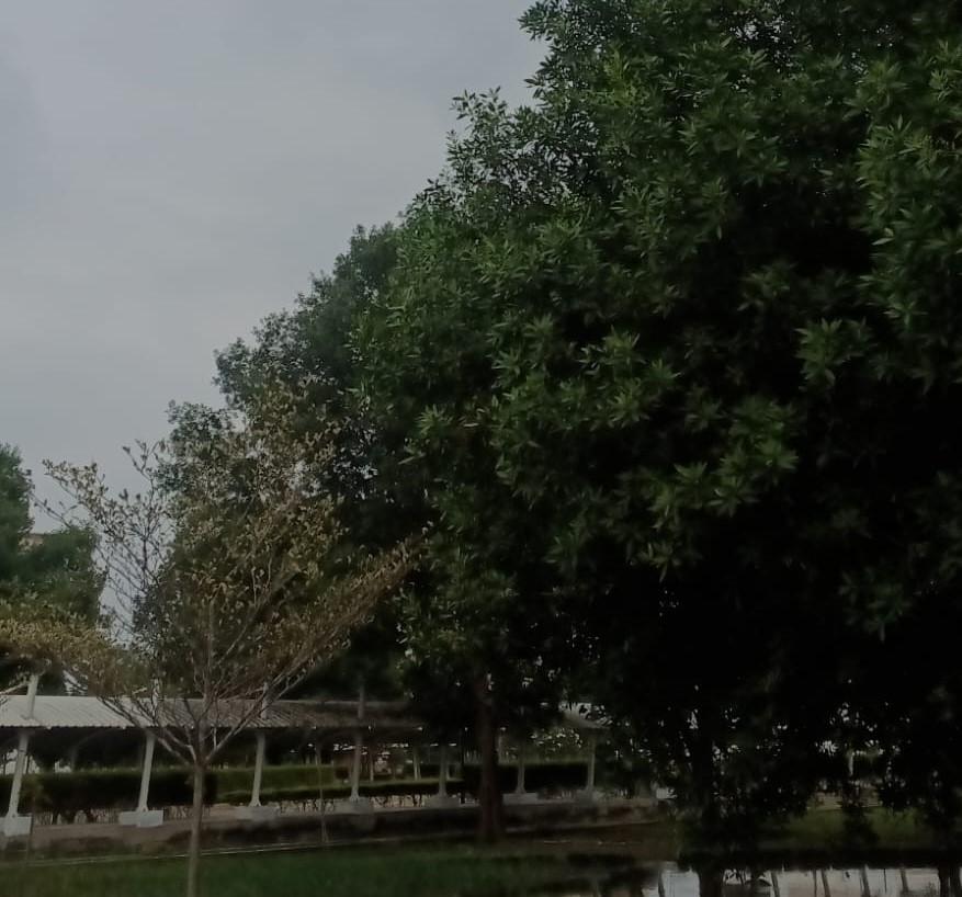 VIT AP Academic Building photo 9
